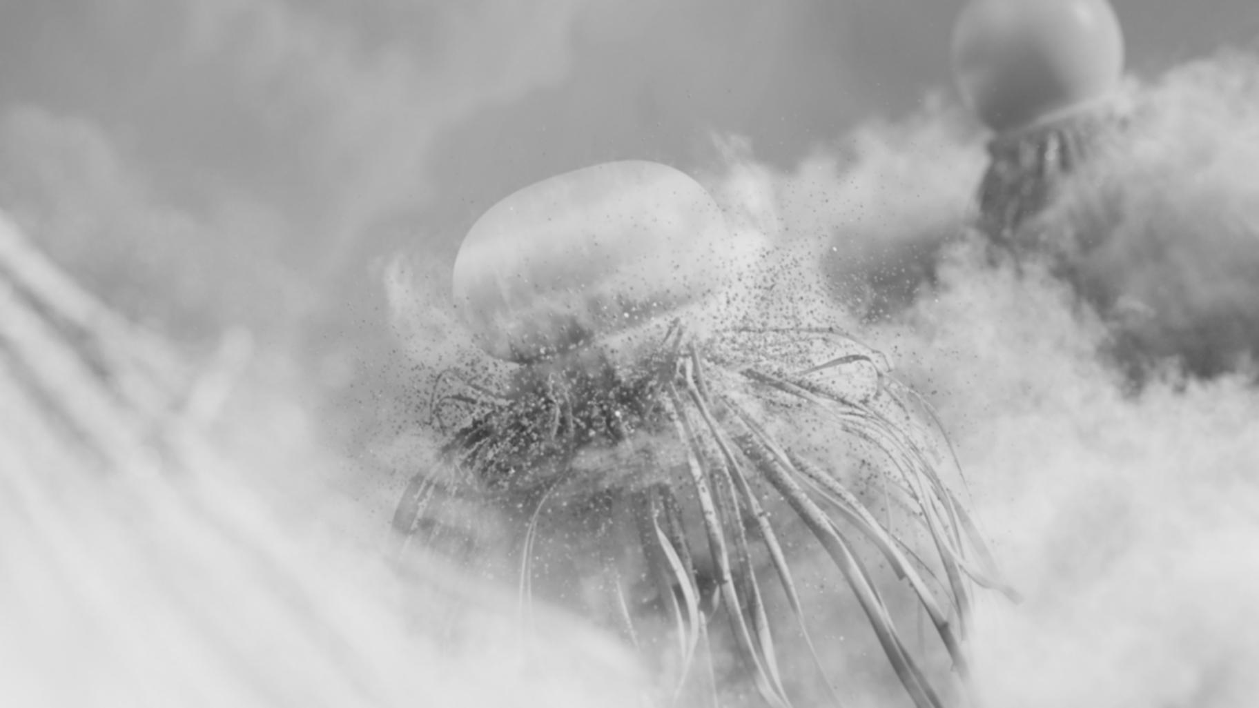 Quantencomputing und KI Bildungsumgebung