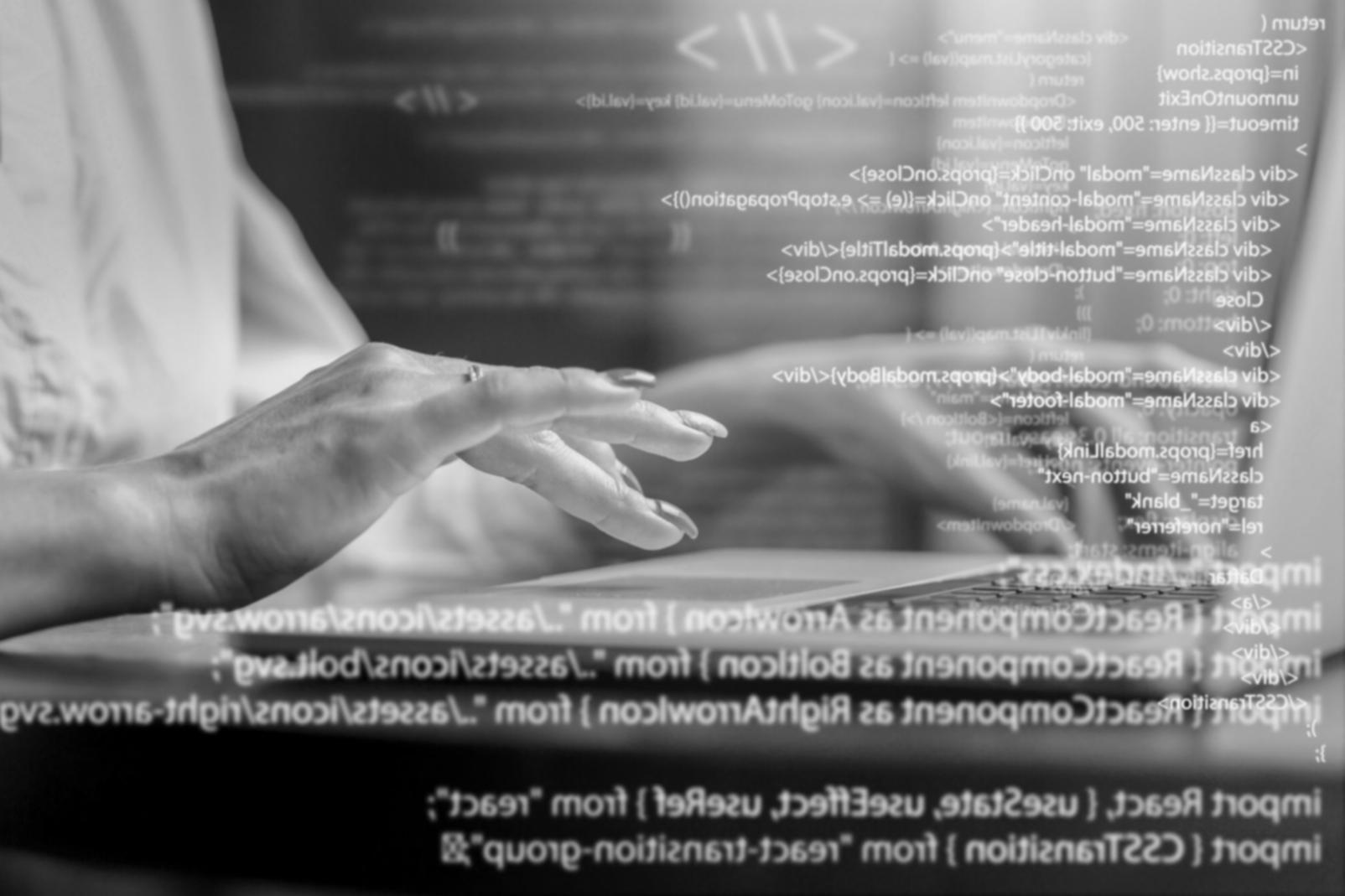 Interaktive Lernumgebung mit Quantenalgorithmus-Visualisierung und Codebeispielen